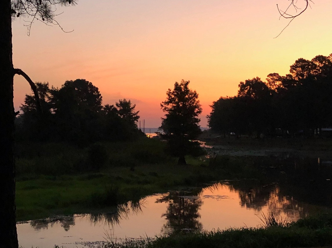 Millwood State Park景点图片