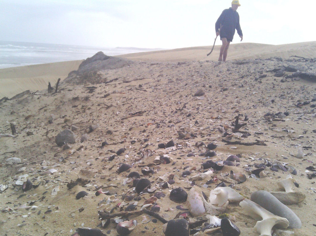 Guided Marine Tours - Port Elizabeth, South Africa-伊丽莎白港必去景点