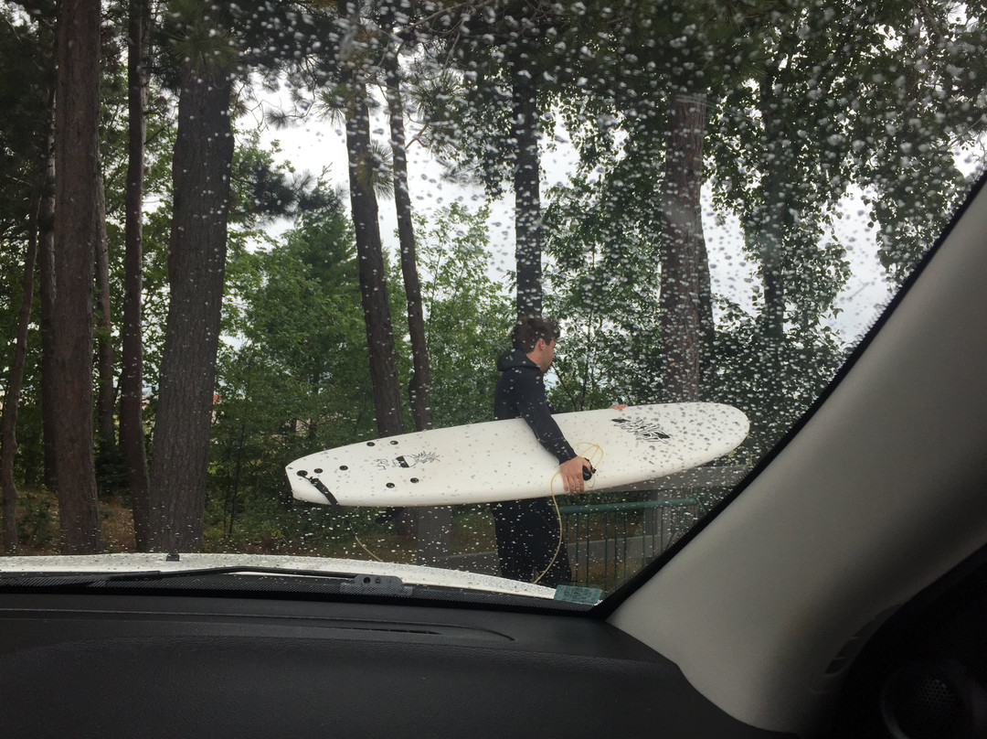 McLain State Park-汉考克必去景点