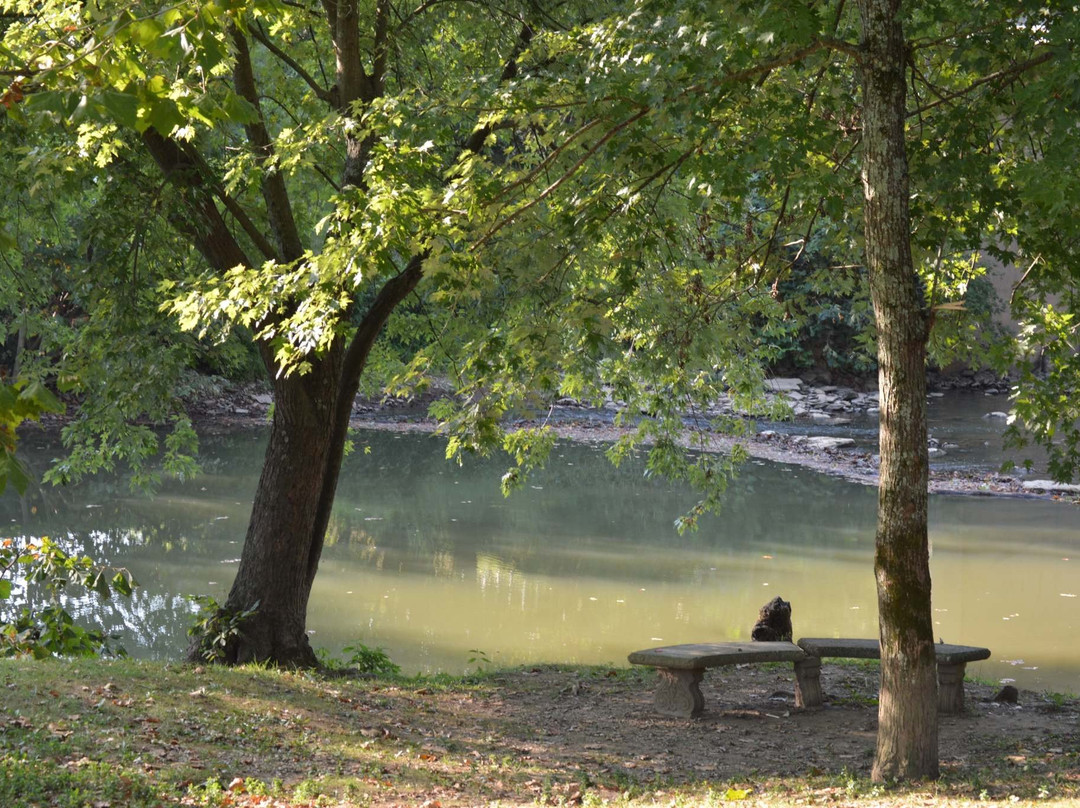 Switzer Covered Bridge-法兰克福必去景点