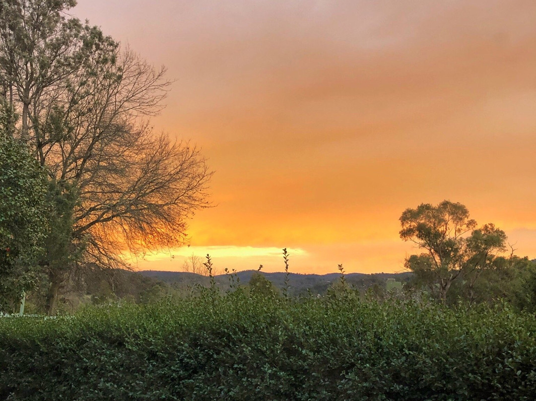 Maroondah View Motel主图