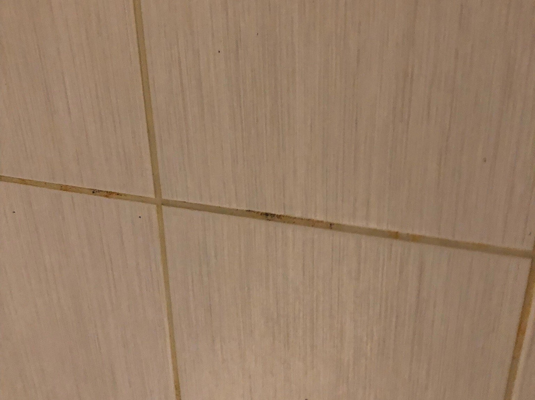 The Hatchet Inn主图