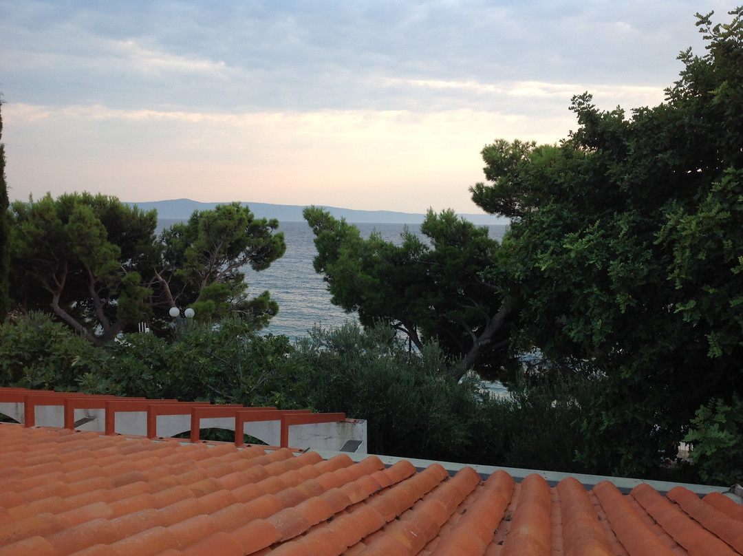 Bluesun Holiday Village Afrodita主图