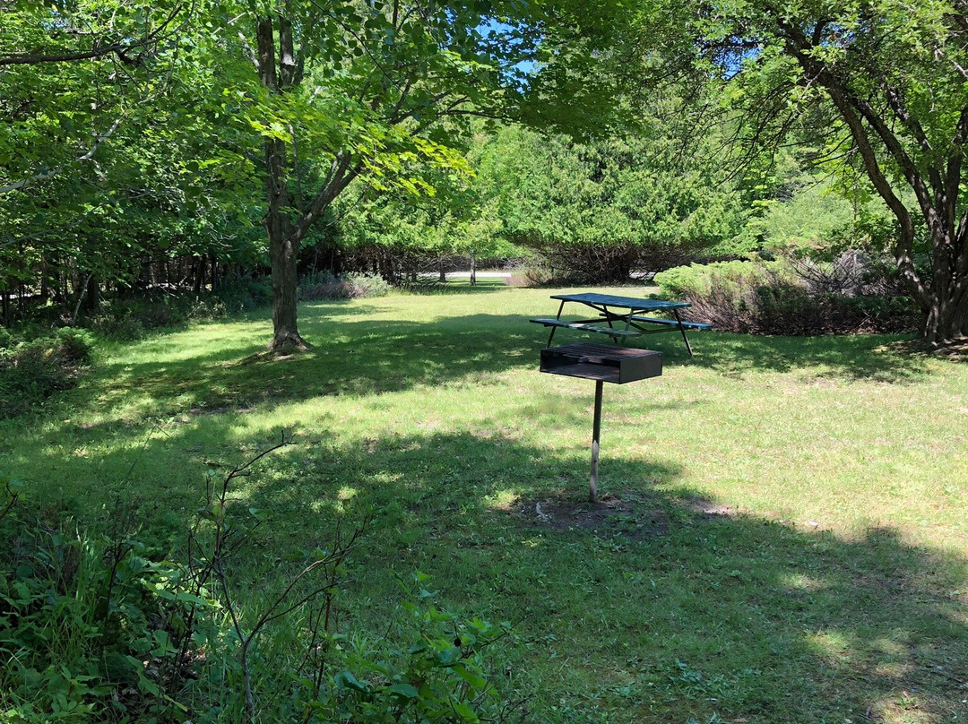 Mountain Park Lookout Tower-Washington Island必去景点