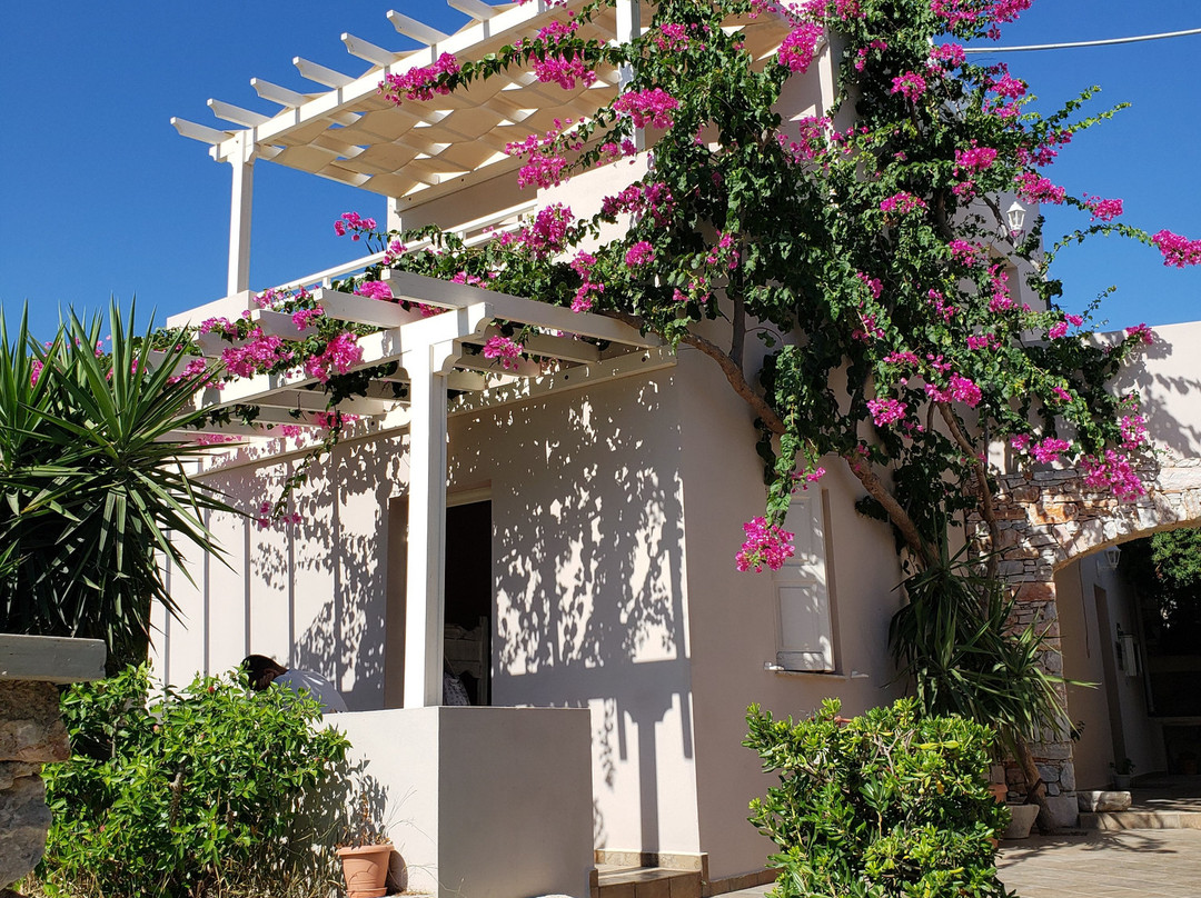 Ventoura Studios & Apartments主图