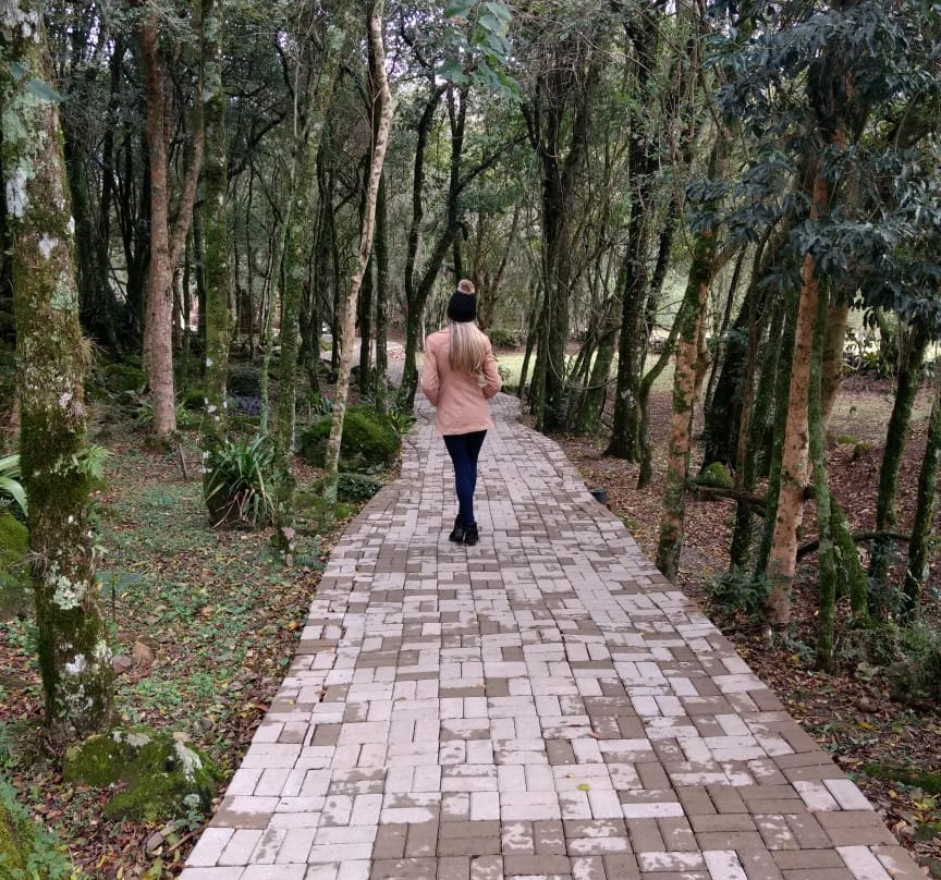 Esculturas Parque Pedras Do Silêncio-Nova Petropolis必去景点