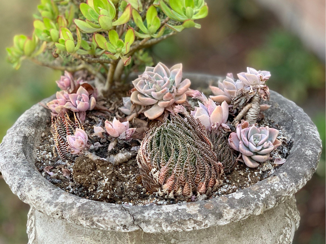 Lastingham Guest Lodge主图