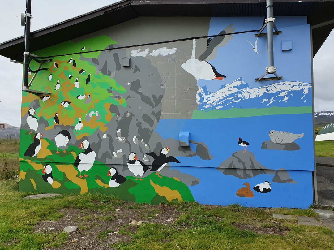 Fjord Bikes-Borgarfjordur Eystri必去景点