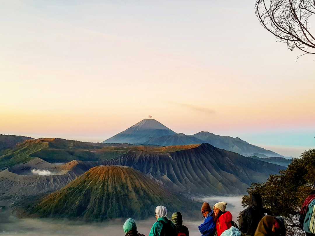 Java Brave Tour-玛琅必去景点