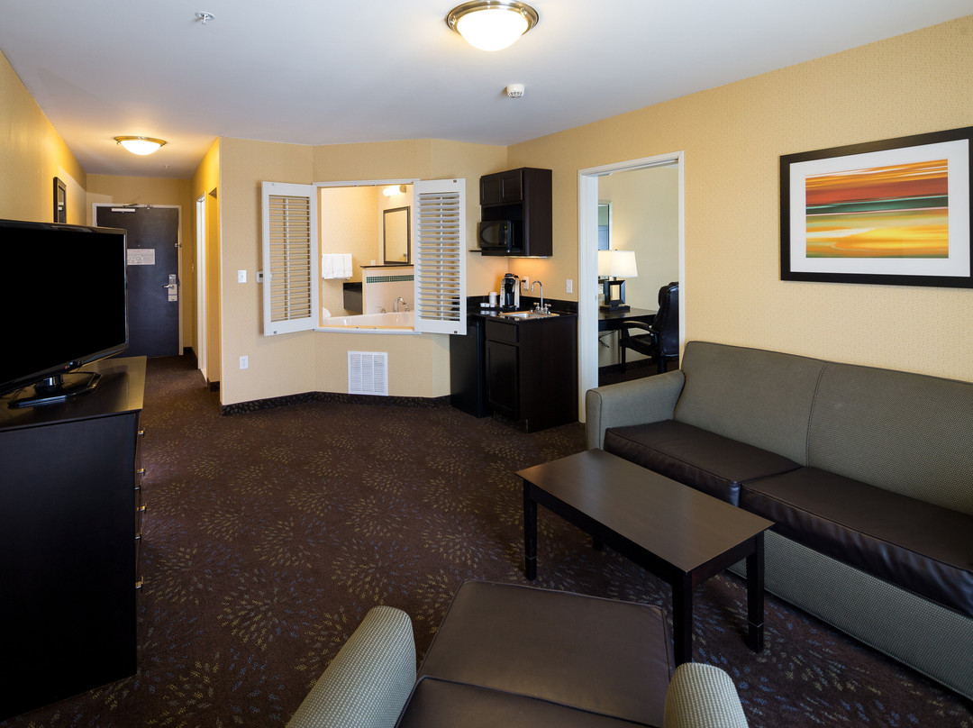 Holiday Inn Express & Suites Detroit North - Troy By IHG主图
