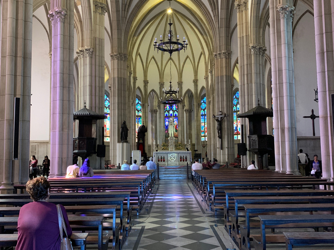 Catedral de São Pedro de Alcântara景点图片