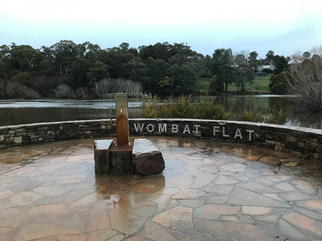 Wombat Flat Mineral Spring-戴尔斯福特必去景点