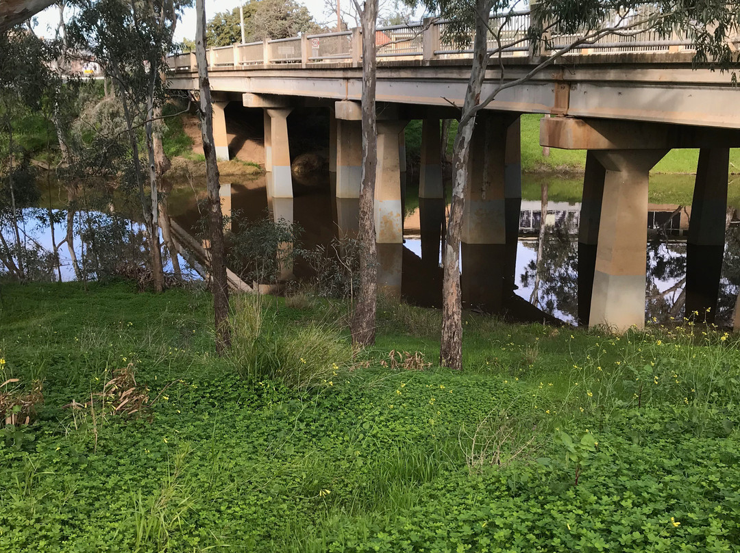 Avoca River Walk景点图片