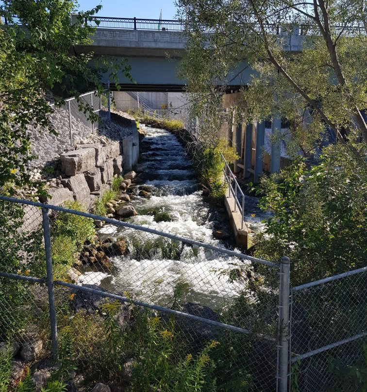 The Fishway-Thornbury必去景点
