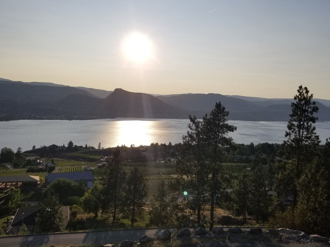 Singing Marmot Guest Suites主图