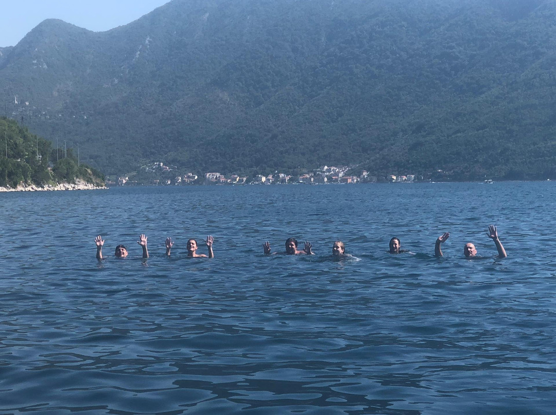 Delfin Boats景点图片