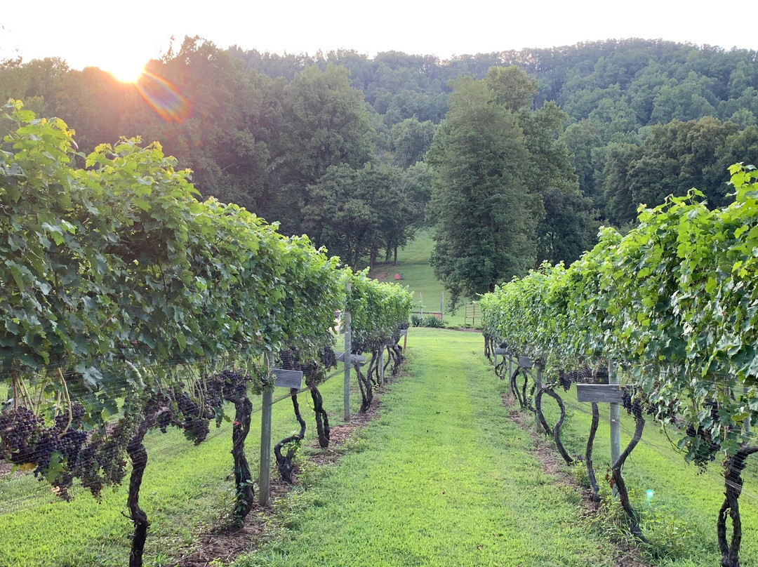 Wisdom Oak Winery景点图片