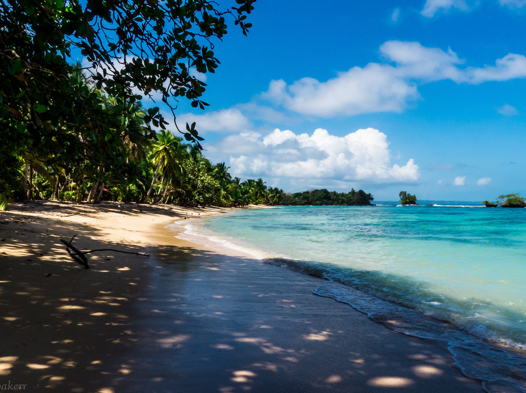 Sweet Caribe Adventures景点图片