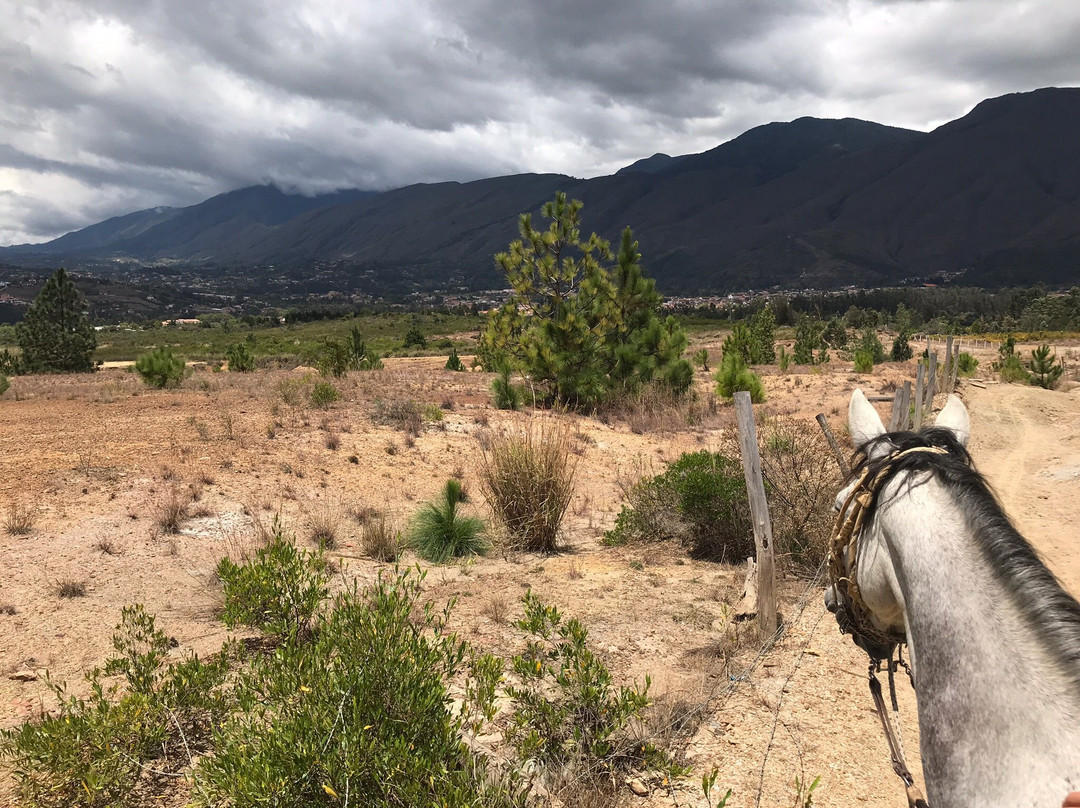 Janto Eco-turismo Equino Cabalgatas y Caminatas-莱瓦镇必去景点