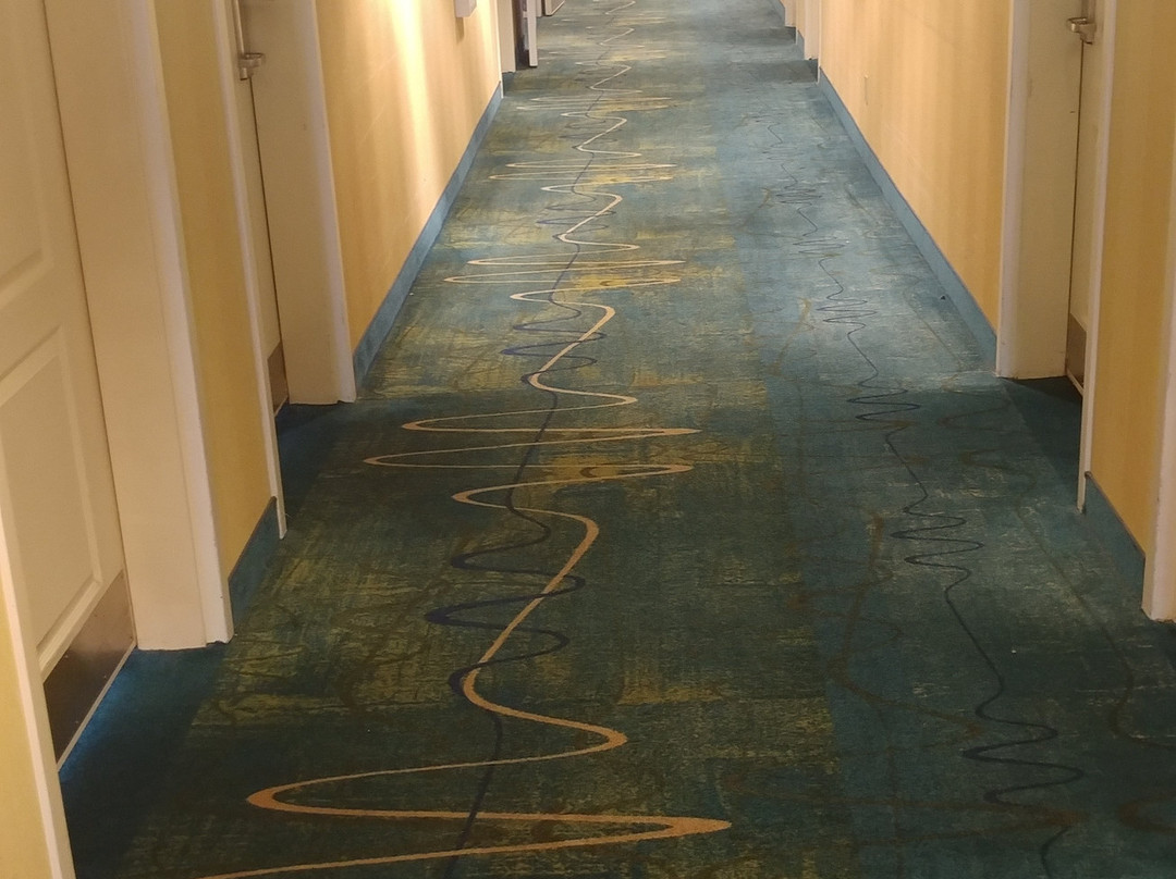 威尔士湖希尔顿恒庭旅馆&套房酒店主图