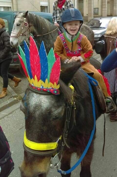 Ferme Equestre de la Chenaie景点图片