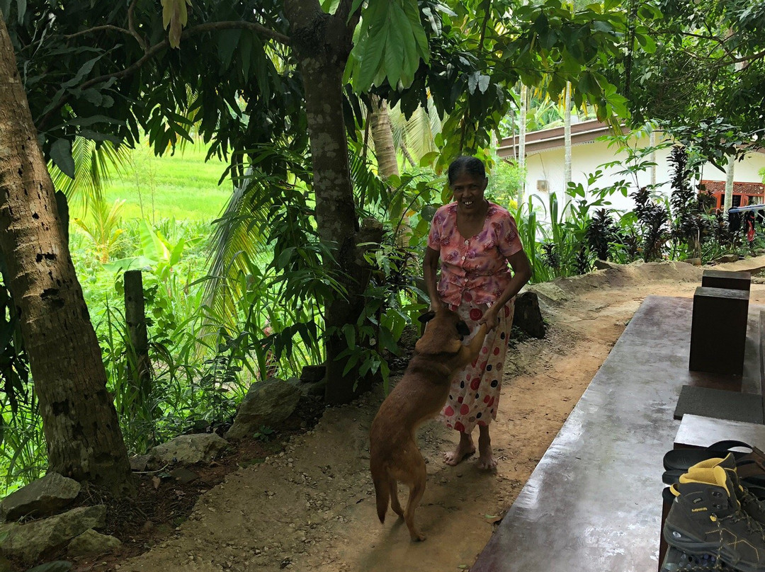 Green View Home Stay主图