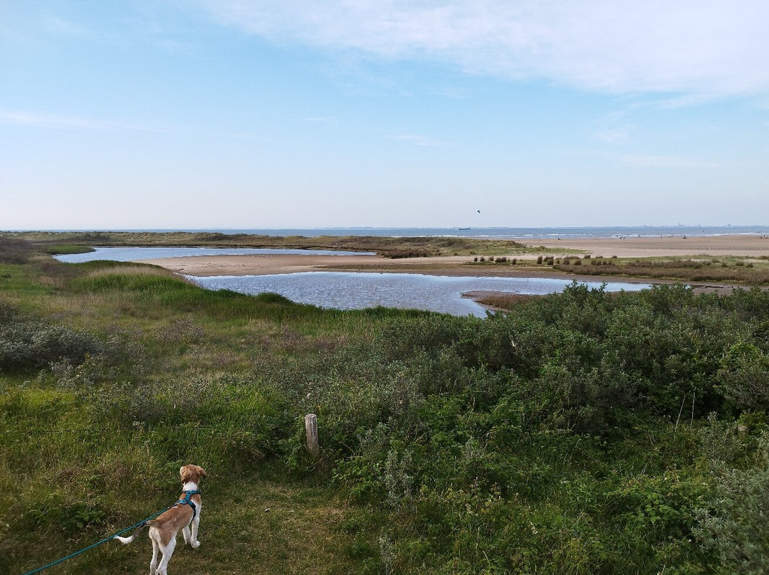 Verdronken Zwarte Polder