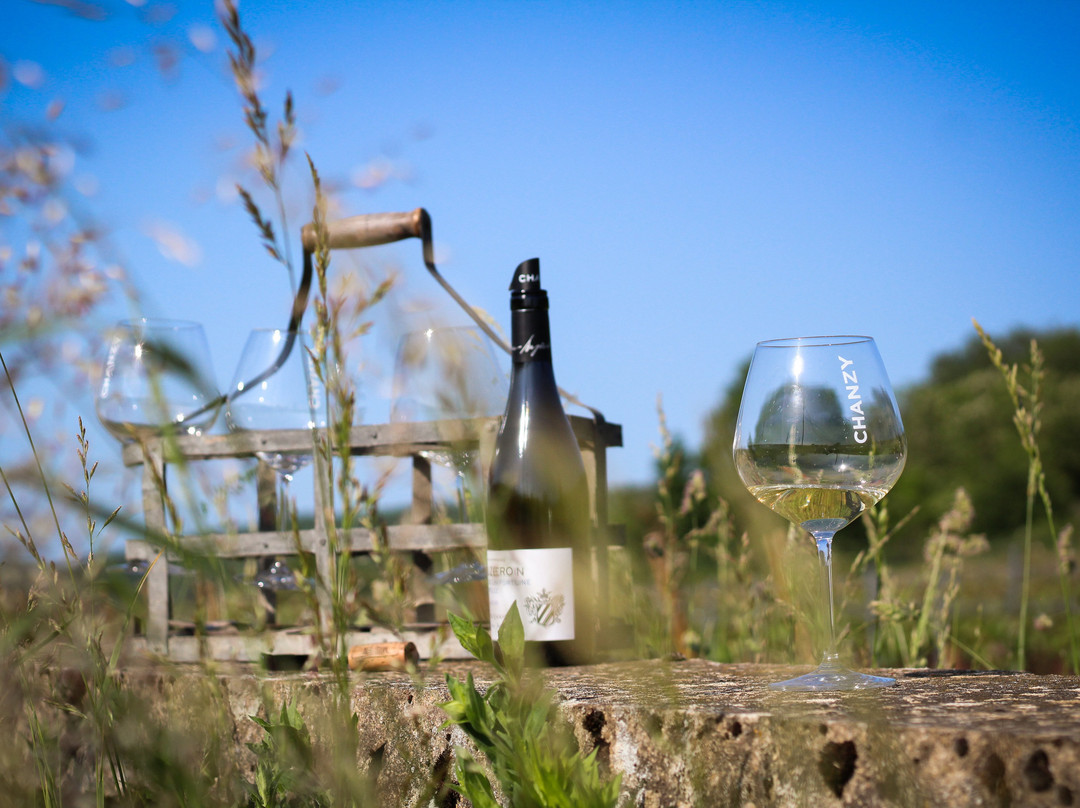 Domaine Chanzy景点图片