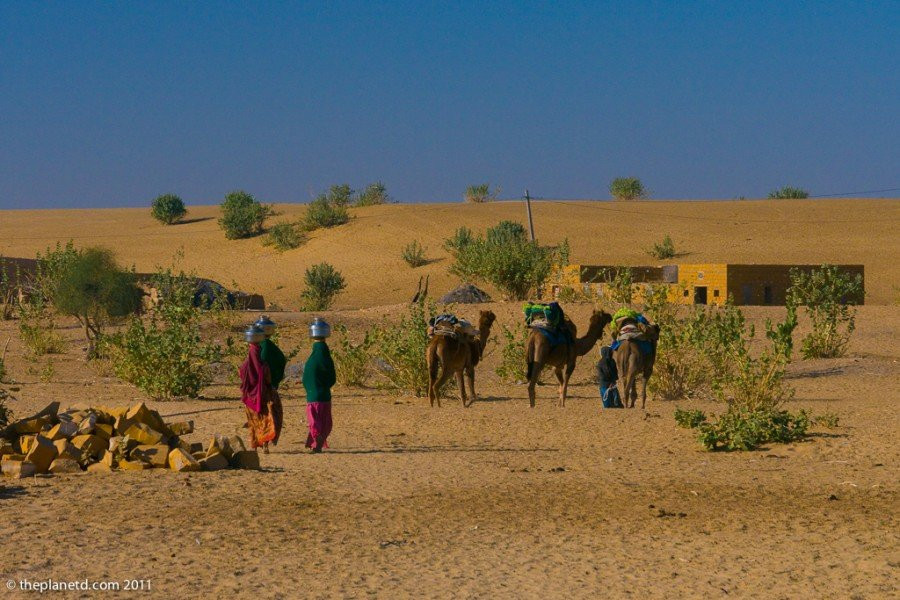 Camel Safari景点图片