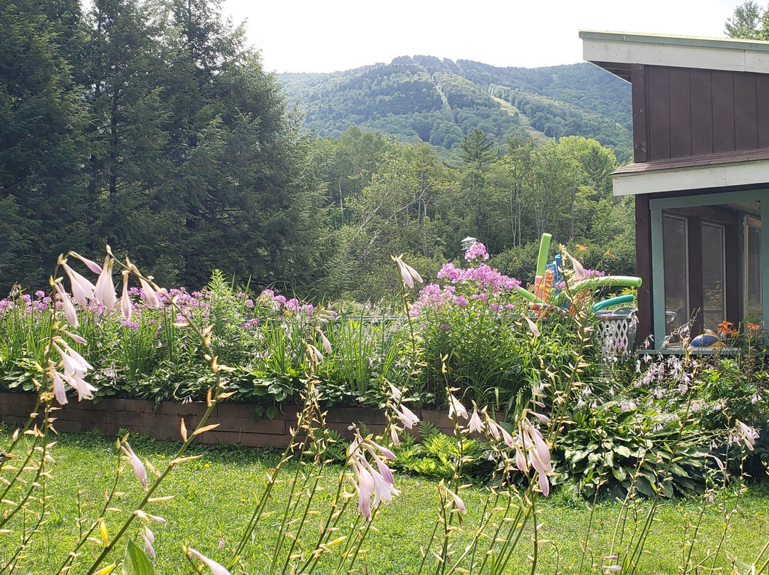 Blue Gentian Lodge主图