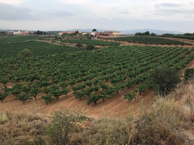 Hostal del Castell de Gimenelles主图