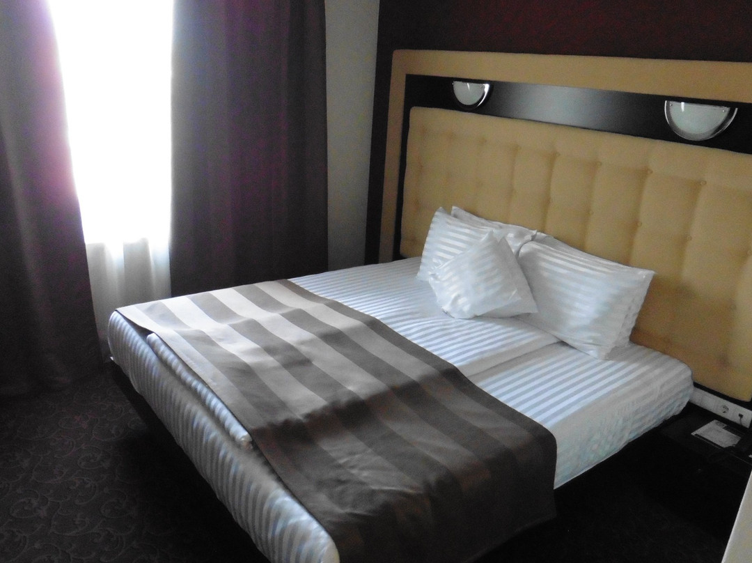 Hotel Ozana主图