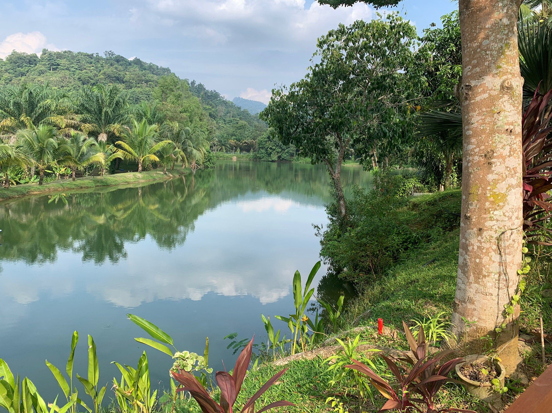 Tasik Kebun Serendah主图