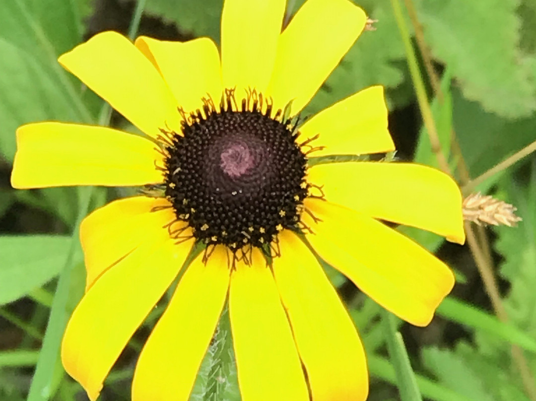 Illinois Beach State Park-Zion必去景点