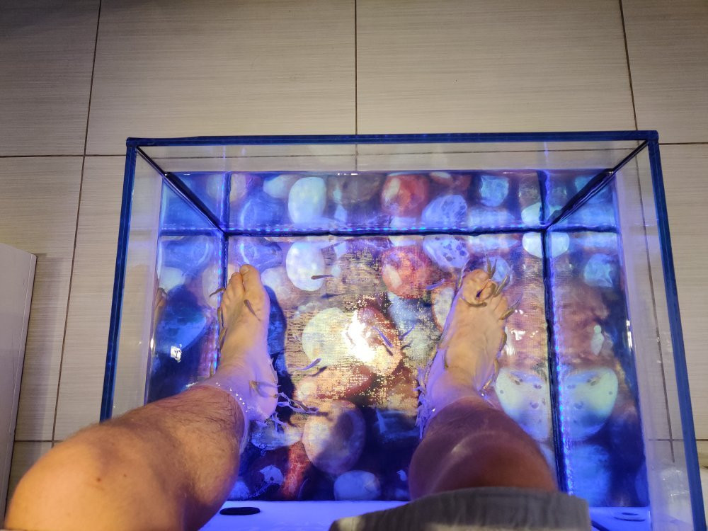 Doctor Fish Spa Therapy Sissi景点图片