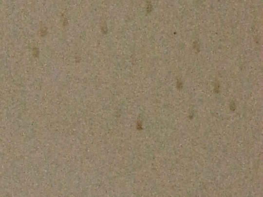 Batemans Bay Marina Resort主图