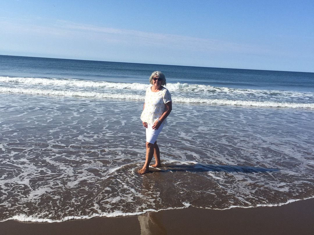 Moonlight Beach Suites主图