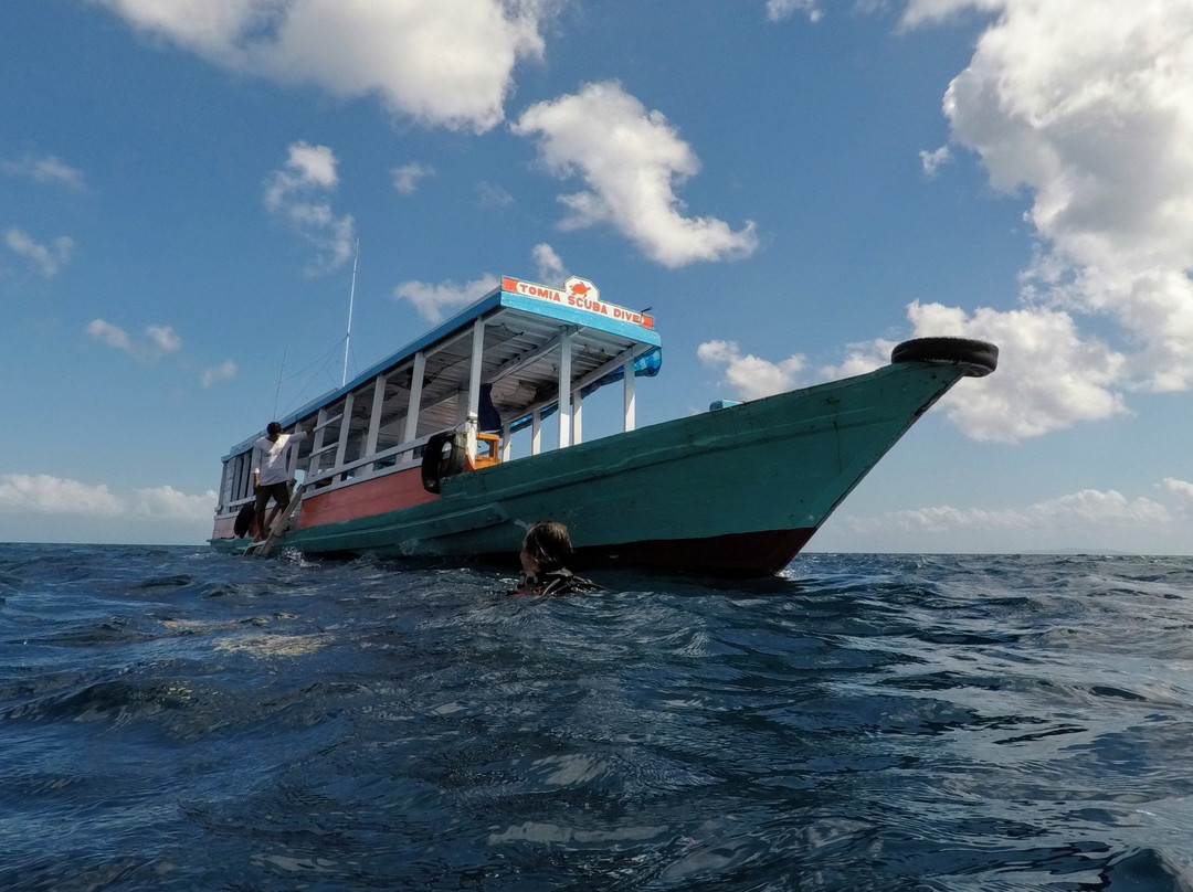 Tomia Scuba Dive景点图片