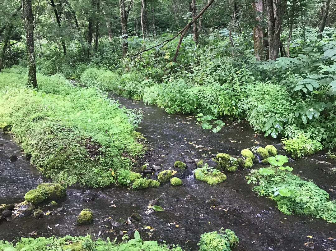 Taisetsu Asahidake Gensui-东川町必去景点