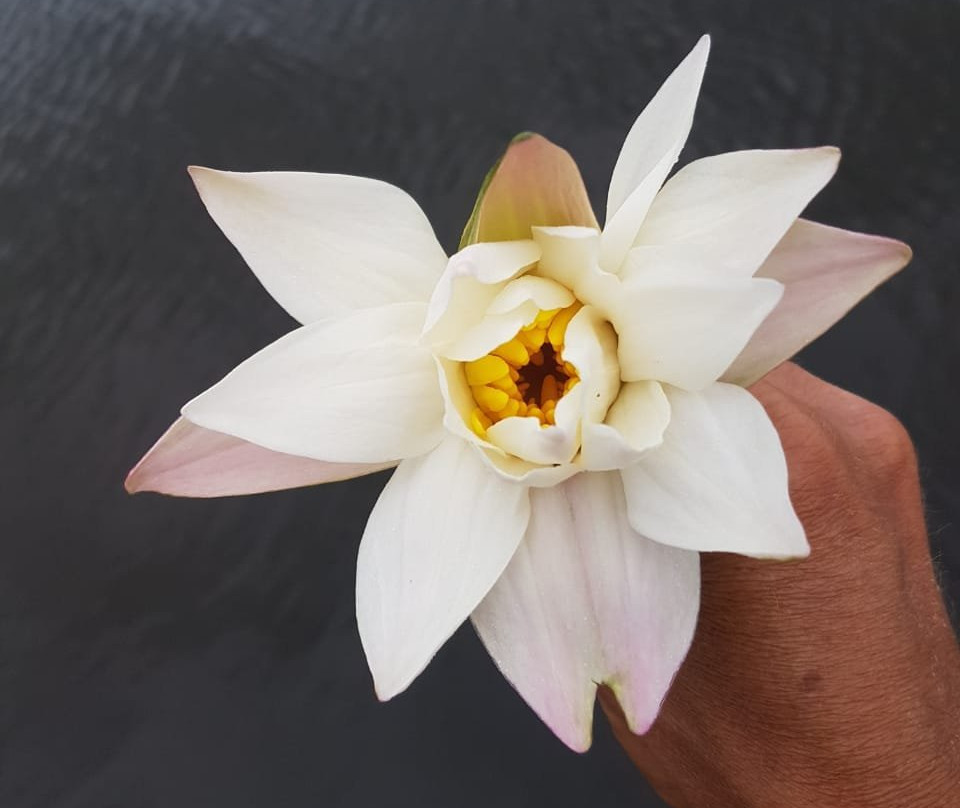 Sanu Lagoon spa-唐卡拉必去景点