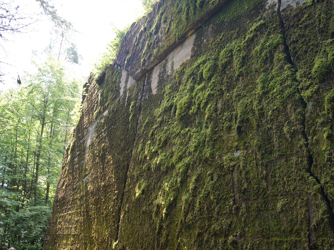 Hochwald Polowa Kwatera Heinricha Himmlera景点图片