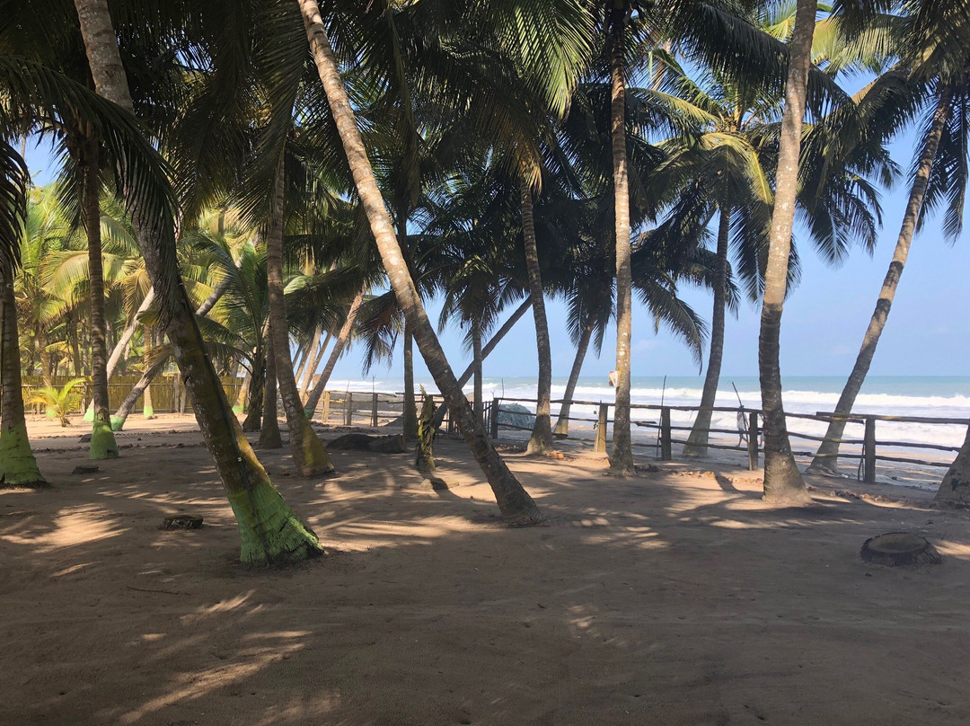 African Vibrations Beach Resort主图