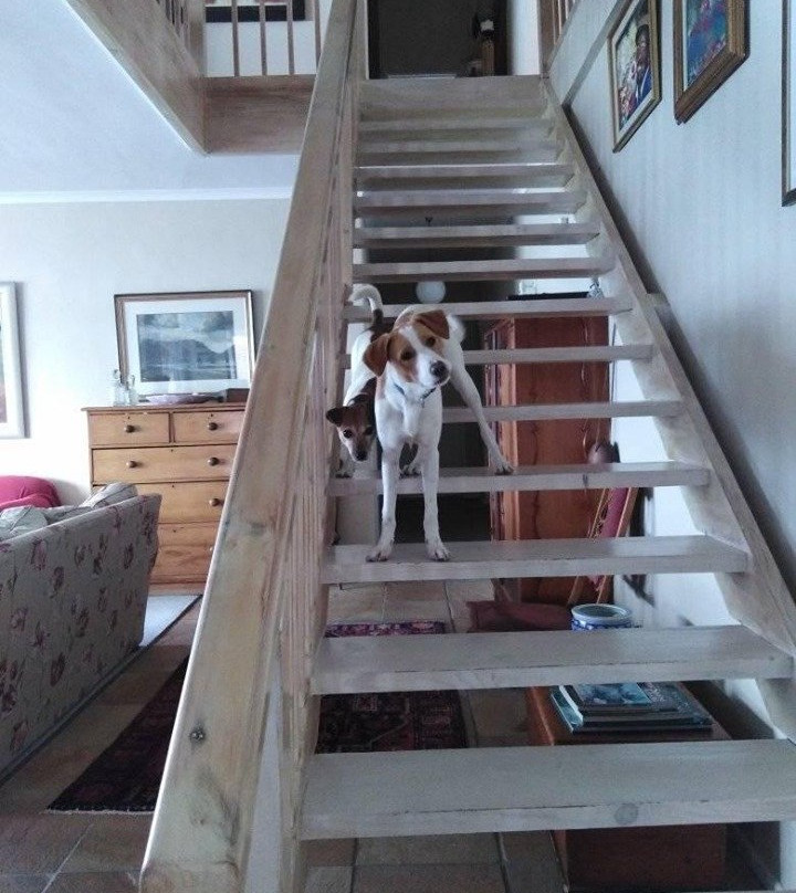 Moonglow Guest House主图