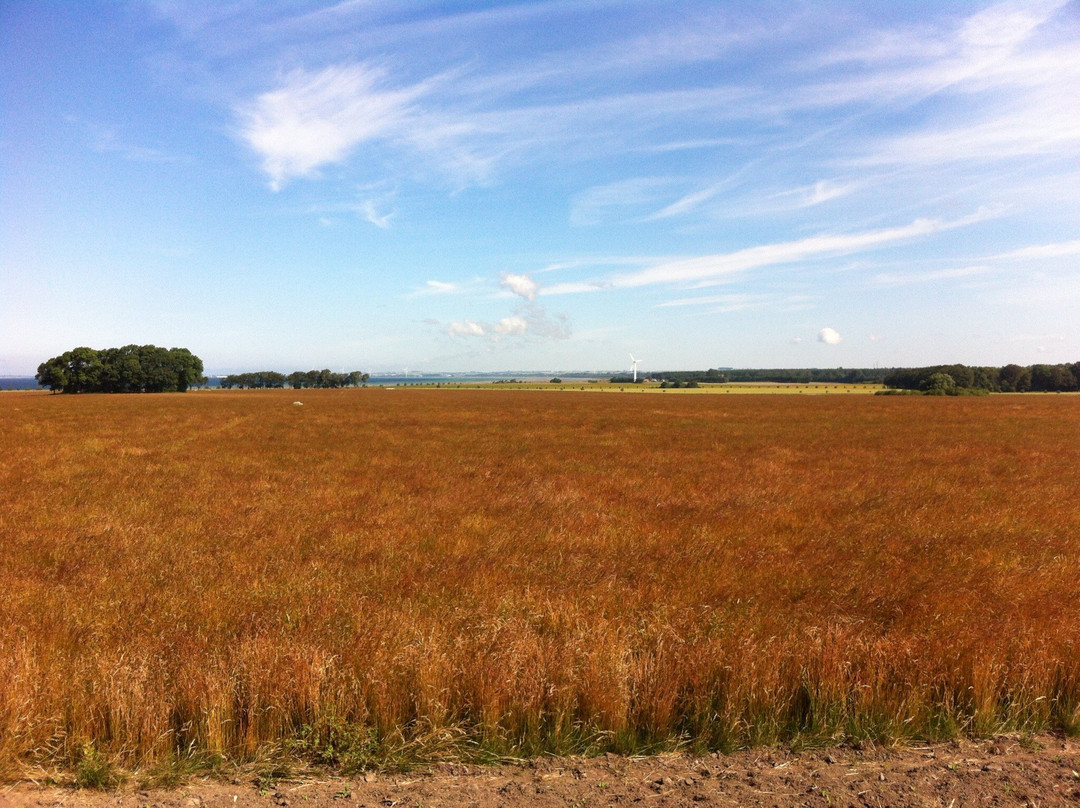 Skåneleden-斯科讷必去景点