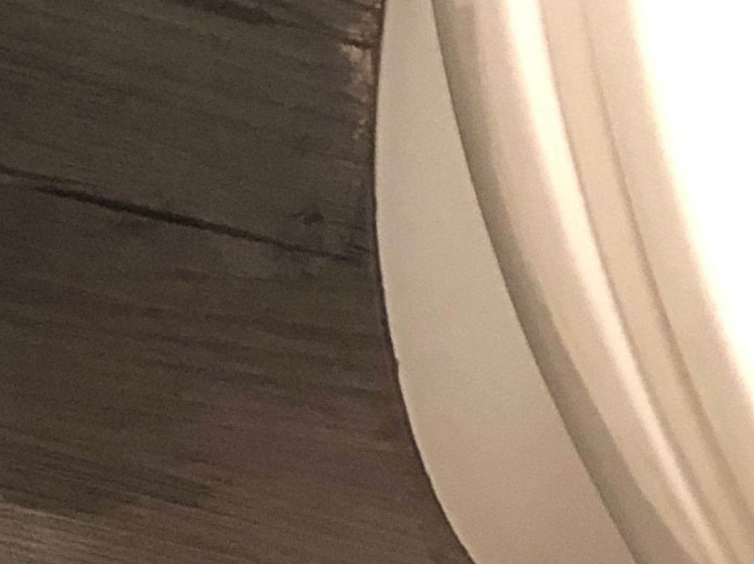 贝斯特韦斯特格兰德酒店主图