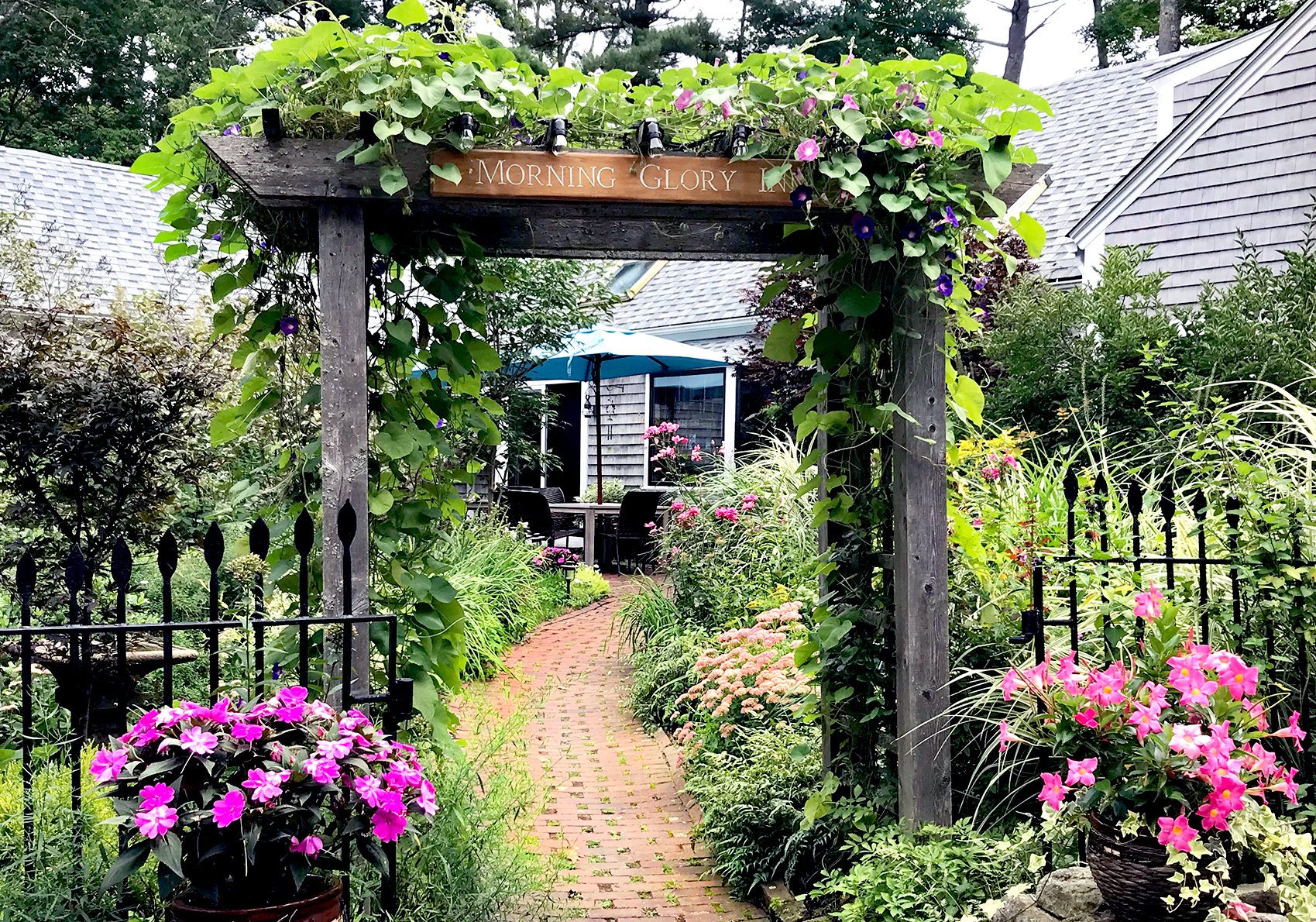 Morning Glory Inn-官方