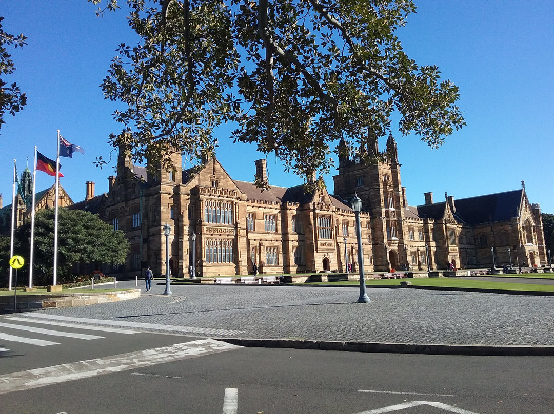 悉尼大学景点图片