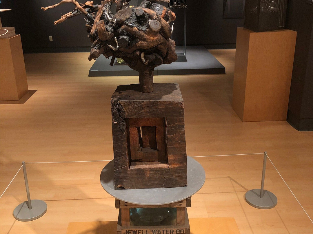 Illinois State Museum-斯普林菲尔德必去景点