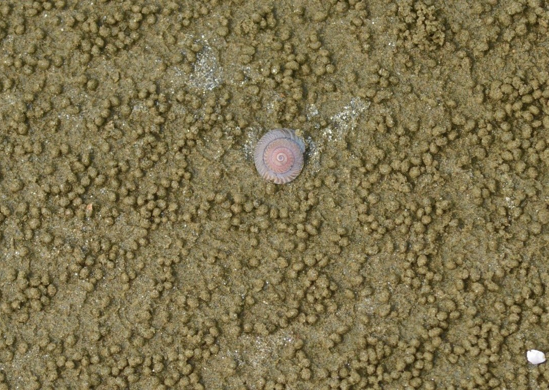 Taeanhaean National Park-泰安郡必去景点