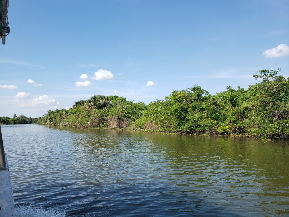 Pantanos de Centla-坎佩切州必去景点
